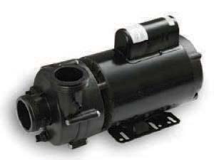 Ultimax 3HP 2 spd 56FR 240V Pump PEN1016016