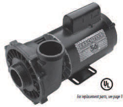 Waterway  3HP 2spd  56FR Executive 240V  Pump 2.5"in/2"out 37212